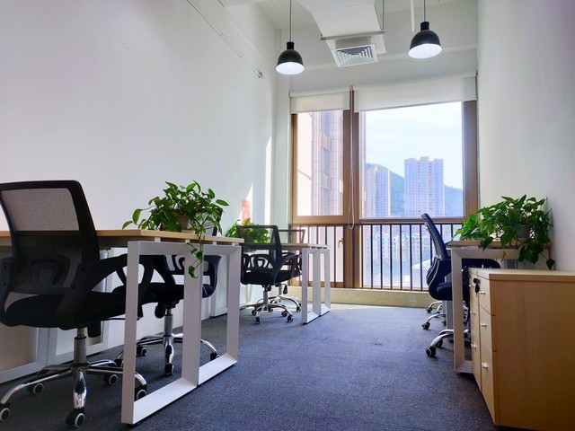 山东3L橡木酒桶