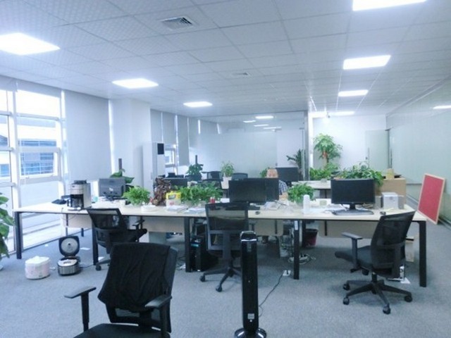 石家庄水果苗新品种树有哪些品种